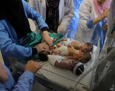 加沙一家41口死于空袭 希法医院31名早产儿获转移