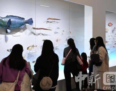 中国国家博物馆举办首个自然生态类展览