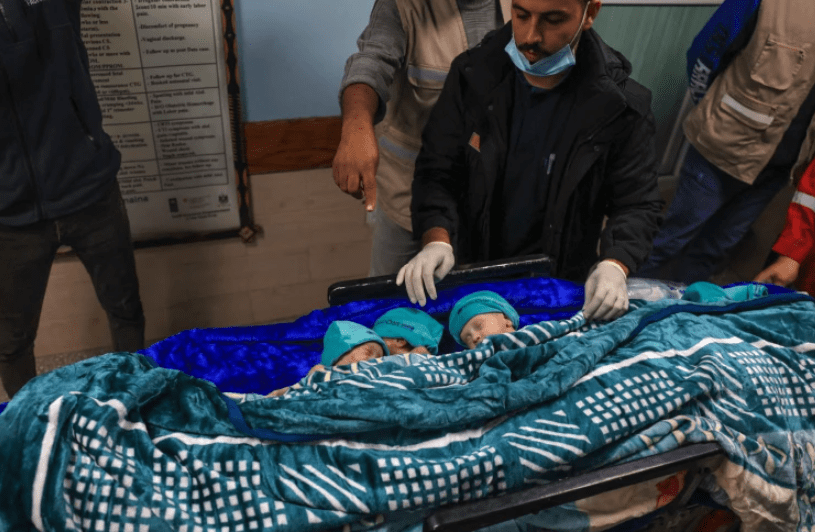 加沙希法医院28名早产儿疏散至埃及 均受严重感染